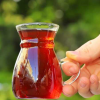 فنجان چای خوری MELİSA 