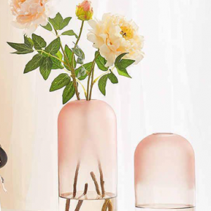 گلدان شیشه ای صورتی مدل کپسولی
