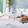 گیلاس خوری سایز بزرگ مدل ENOTECA پاشاباغچه
